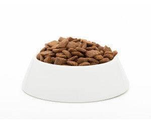 Josera Solido 15kg - Paw & Joy