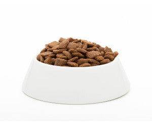 Paw & Joy Biggest Pet Supplies brand in Egypt | Josera Solido 15kg