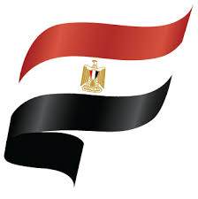 Paw & Joy Biggest Pet Supplies brand in Egypt | Ozzo Adult Cat Dry Food 1kg