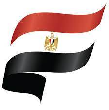 Paw & Joy Biggest Pet Supplies brand in Egypt | Ozzo Kitten Dry Food 1kg