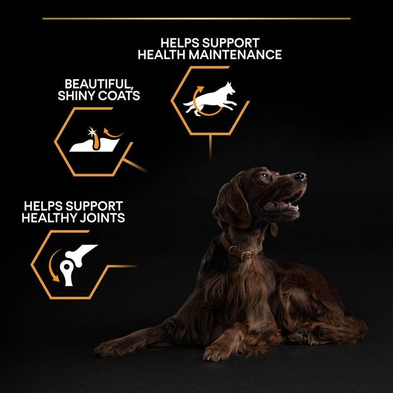 Paw & Joy Biggest Pet Supplies brand in Egypt | Pro Plan Large Athletic Adult Chicken 14kg