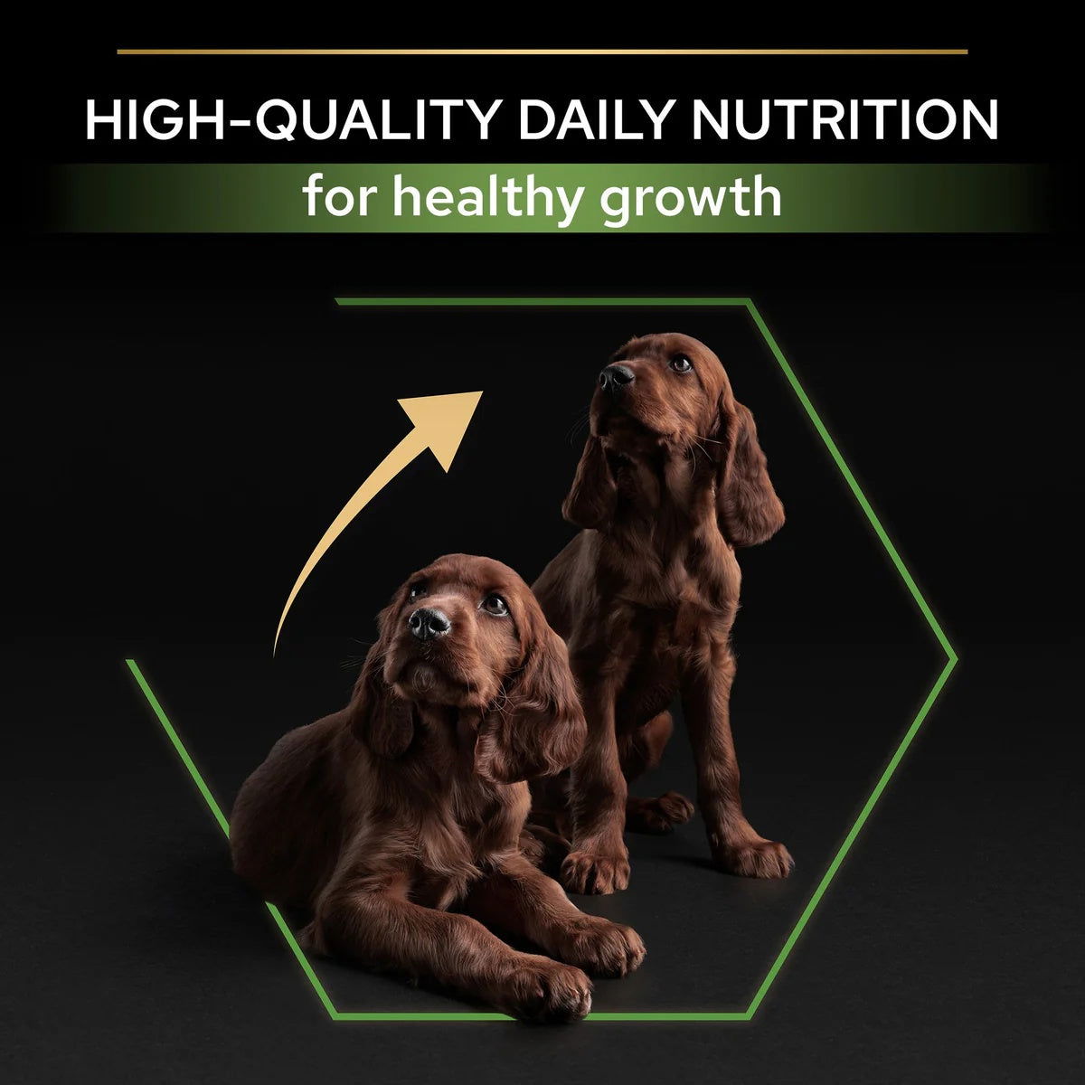 Pro Plan Large Athletic Puppy Chicken 3kg -  - PetsOffice