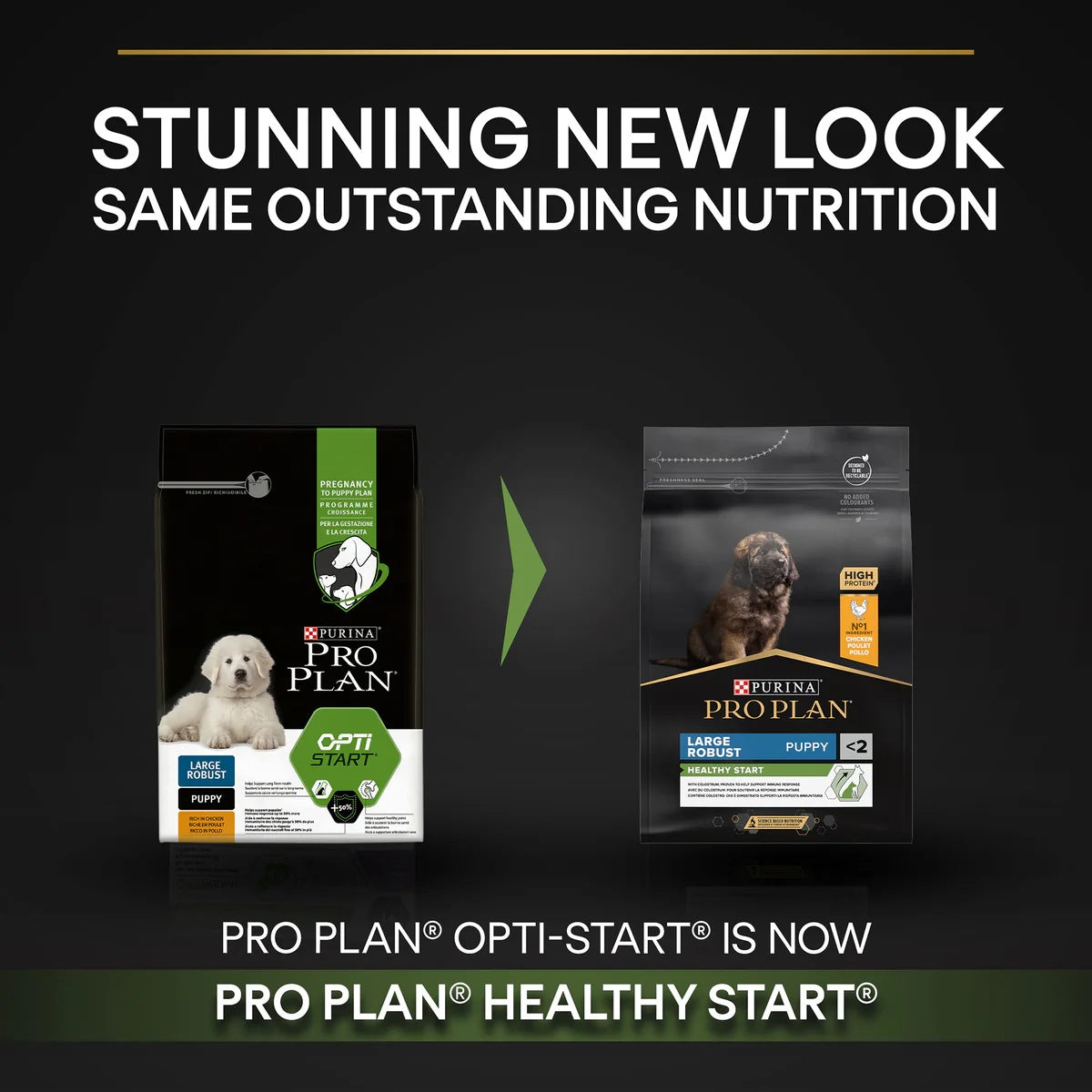 Pro Plan Large Robust Puppy Chicken 12kg -  - PetsOffice