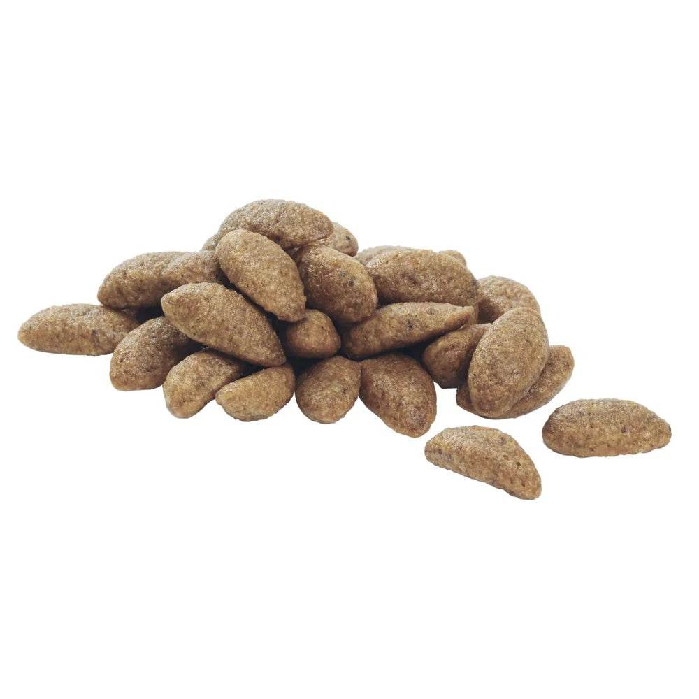 Paw & Joy Biggest Pet Supplies brand in Egypt | Pro Plan Medium Adult Salmon 3kg