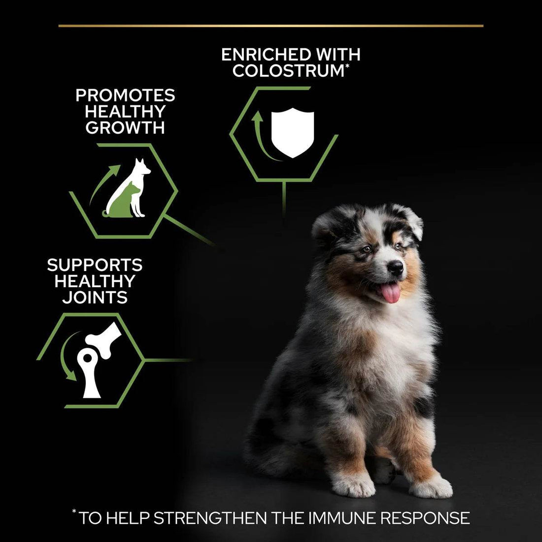 Paw & Joy Biggest Pet Supplies brand in Egypt | Pro Plan Medium Puppy Chicken 12kg