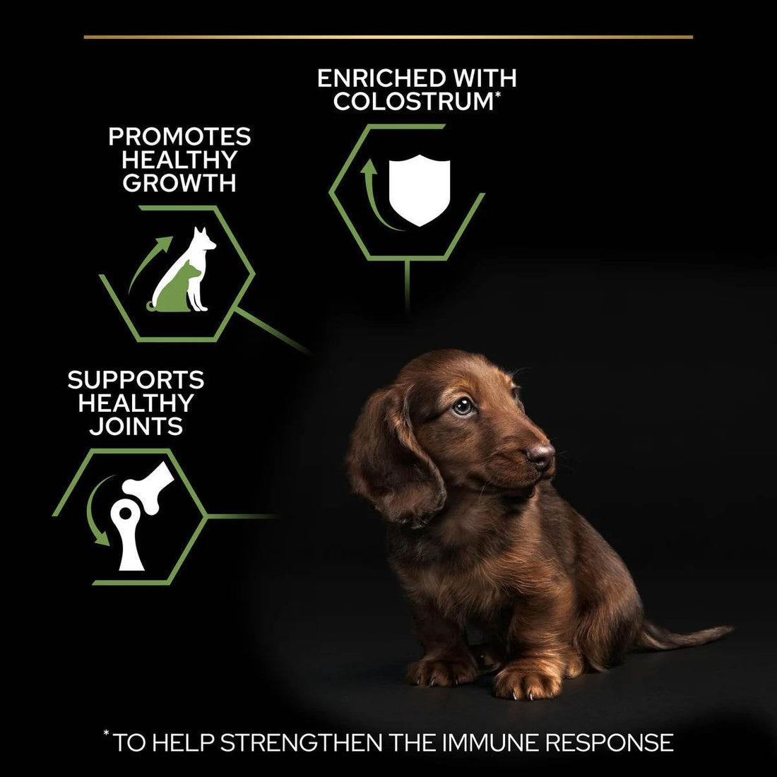 Paw & Joy Biggest Pet Supplies brand in Egypt | Pro Plan Small&Mini Puppy Rich In Chicken 3kg