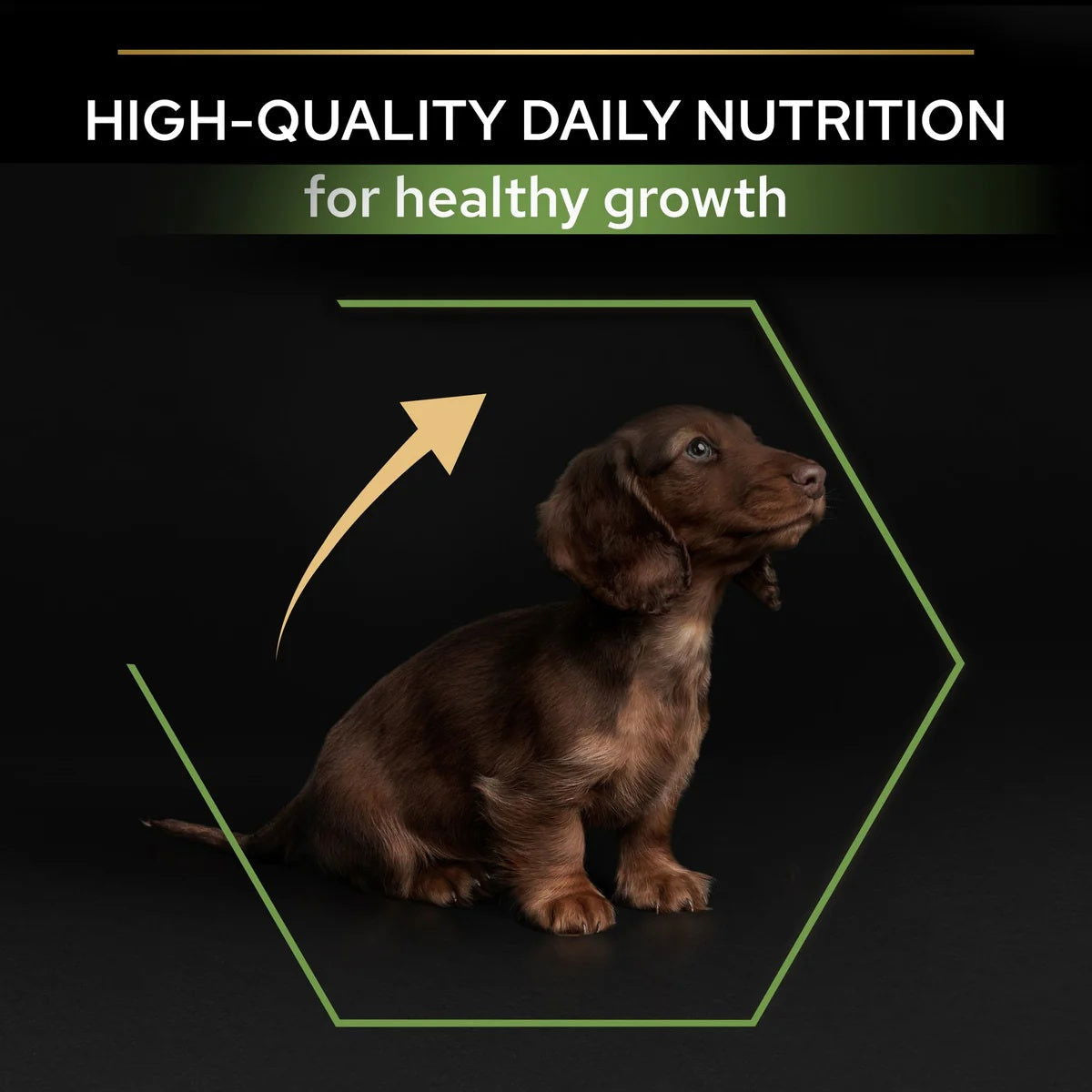 Pro Plan Small&Mini Puppy Rich In Chicken 3kg -  - PetsOffice