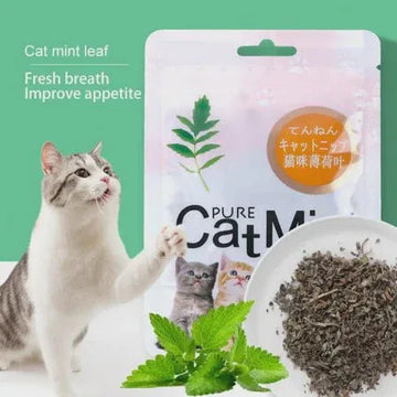 Pure Cat Mint Powder(Catnip) 5g - Paw & Joy
