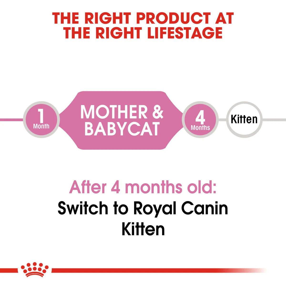 Paw & Joy Biggest Pet Supplies brand in Egypt | Royal Canin Babycat 2kg