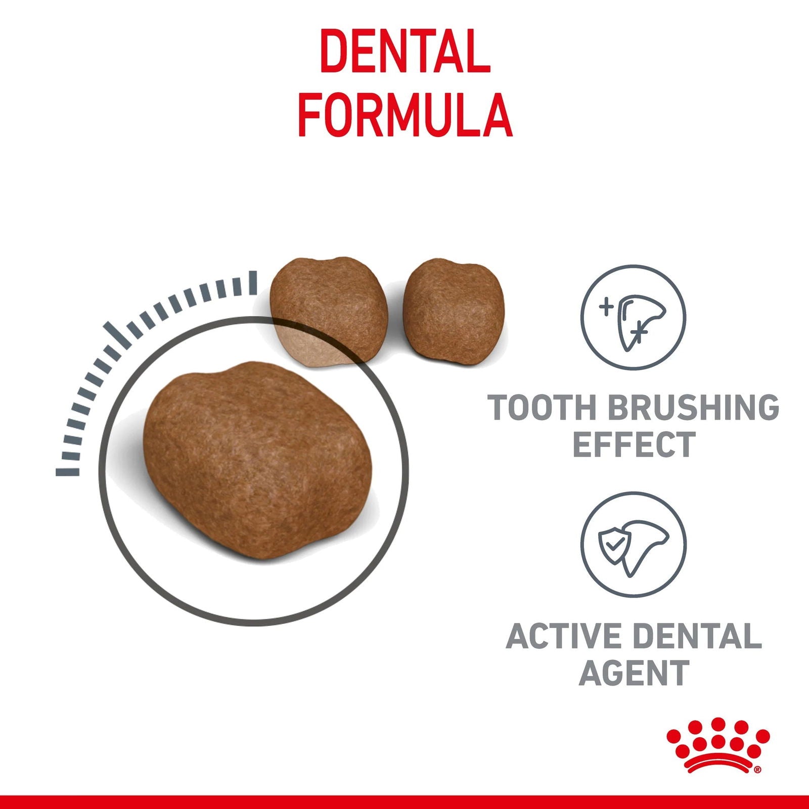 Royal Canin Dental Care Cat Dry Food 1.5kg -  - PetsOffice