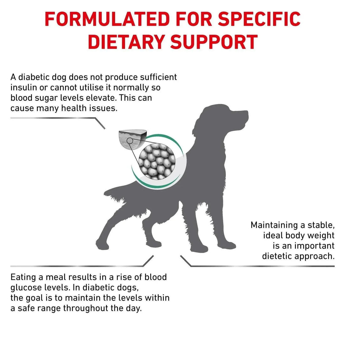 Royal Canin Diabetic Dog Dry Food 7kg - Paw & Joy