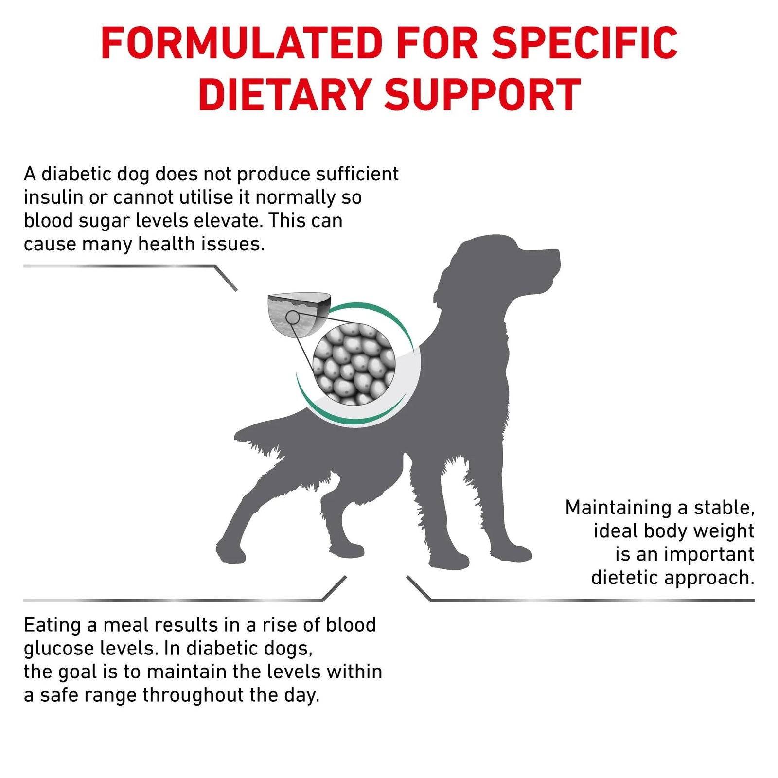 Paw & Joy Biggest Pet Supplies brand in Egypt | Royal Canin Diabetic Dog Dry Food 7kg