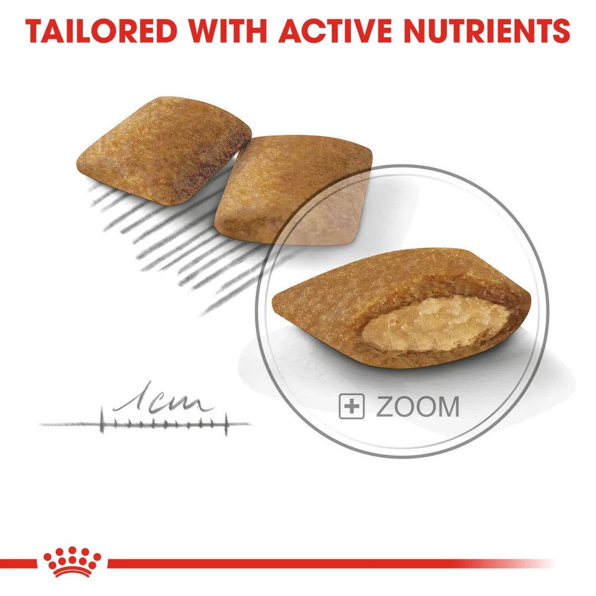 Paw & Joy Biggest Pet Supplies brand in Egypt | Royal Canin Dog Mini Exigent 3kg