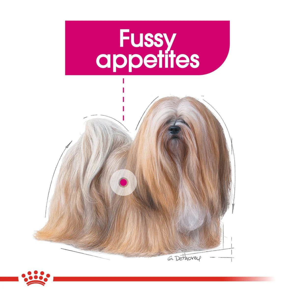 Paw & Joy Biggest Pet Supplies brand in Egypt | Royal Canin Dog Mini Exigent 3kg