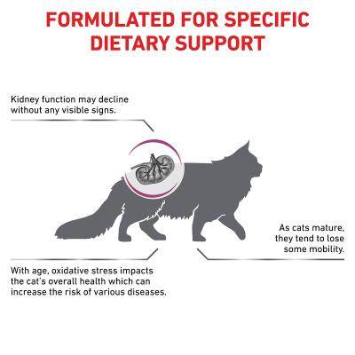 Paw & Joy Biggest Pet Supplies brand in Egypt | Royal Canin Early Renal Cat Dry Food 1.5kg