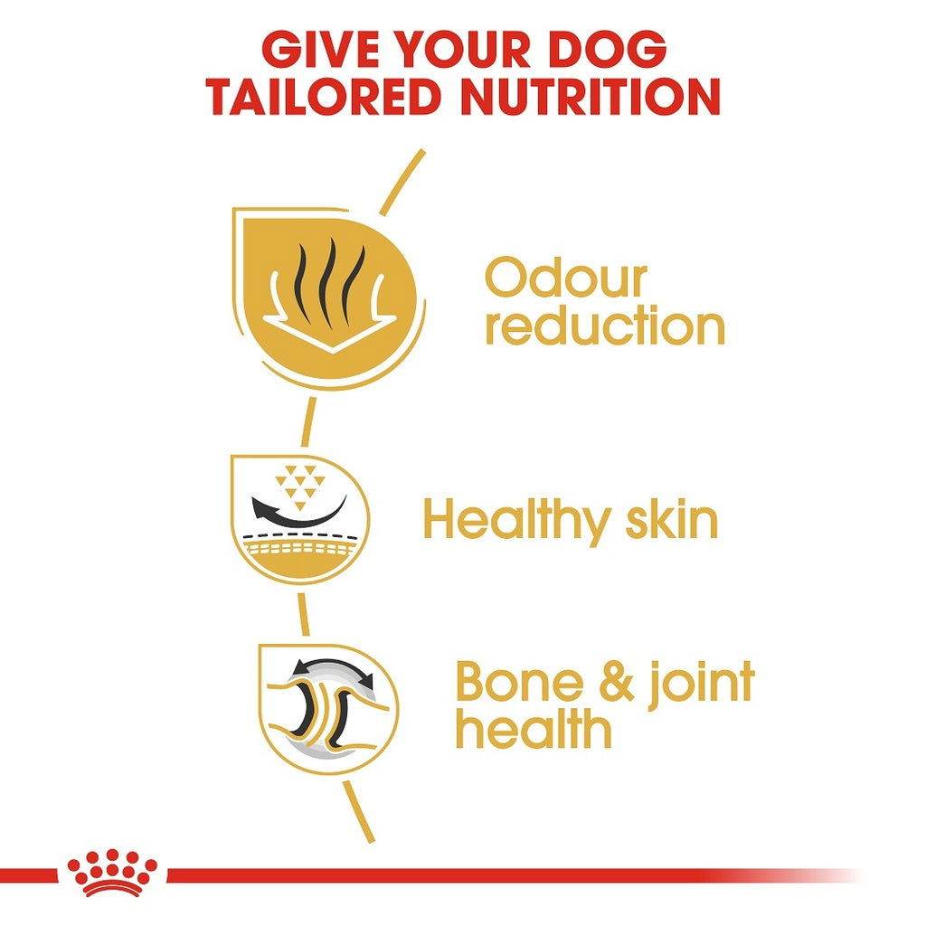 Paw & Joy Biggest Pet Supplies brand in Egypt | Royal Canin English Bulldog 3kg