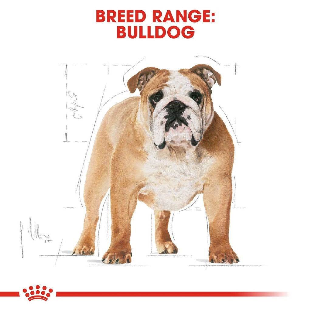 Paw & Joy Biggest Pet Supplies brand in Egypt | Royal Canin English Bulldog 3kg