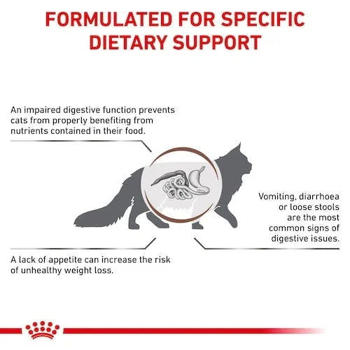 Royal Canin Gastrointestinal Cat Dry Food 2kg -  - PetsOffice
