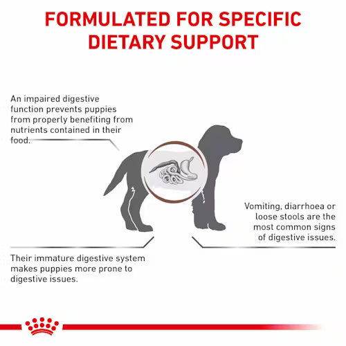 Paw & Joy Biggest Pet Supplies brand in Egypt | Royal Canin Gastrointestinal Puppy Dry Food 2.5kg