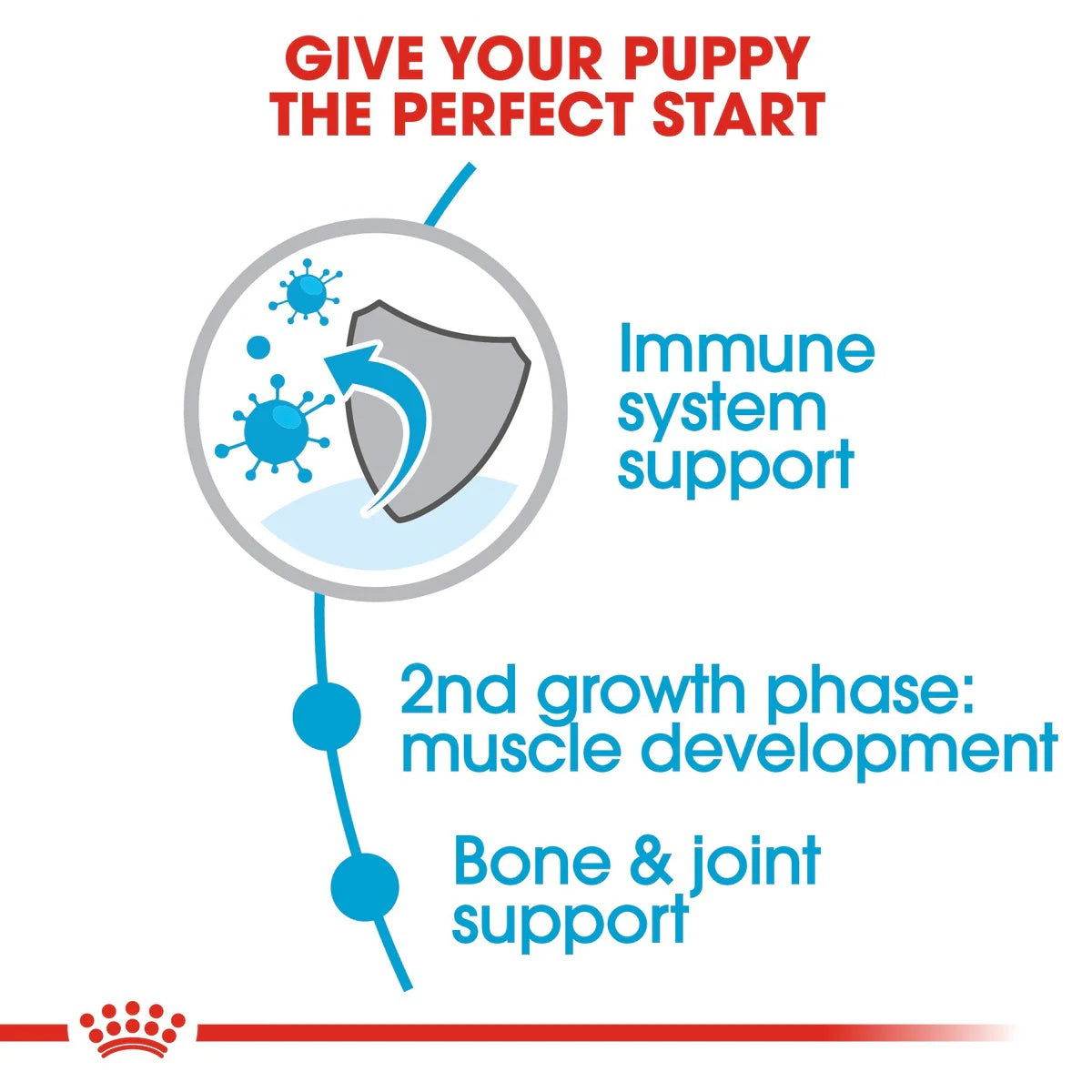 Paw & Joy Biggest Pet Supplies brand in Egypt | Royal Canin Giant Junior 15kg