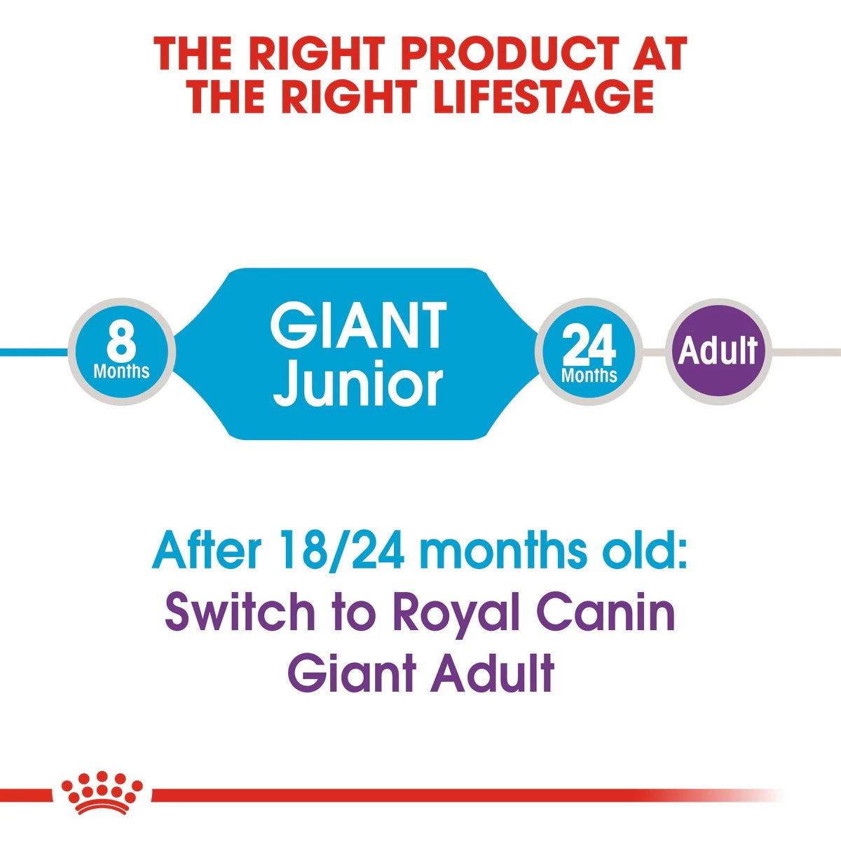 Paw & Joy Biggest Pet Supplies brand in Egypt | Royal Canin Giant Junior 15kg