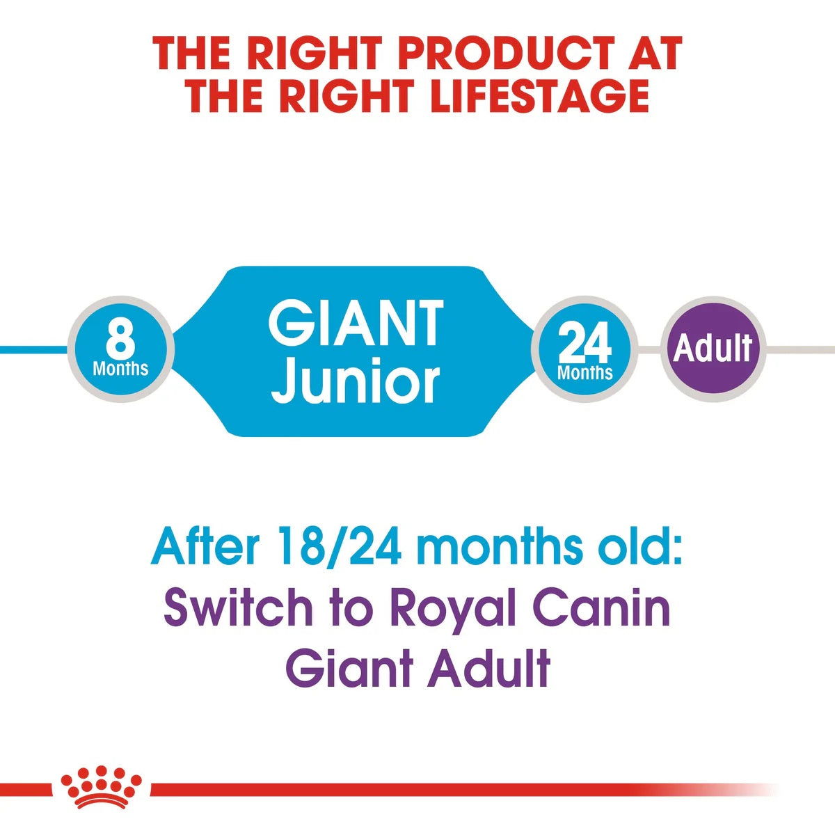 Royal Canin Giant Junior 3.5kg -  - PetsOffice