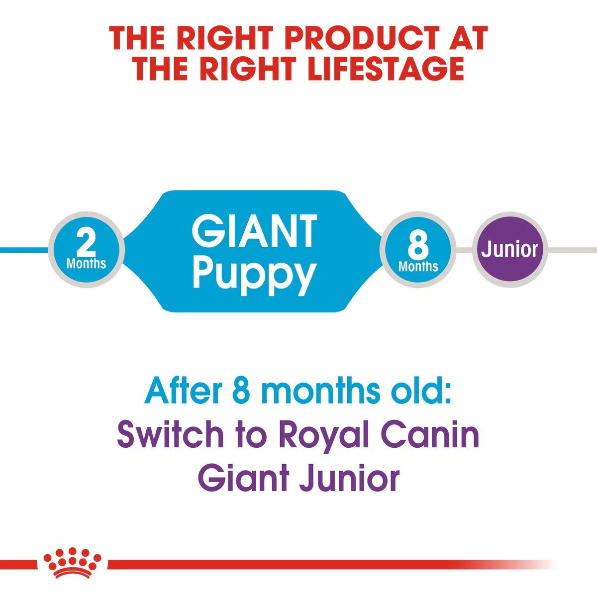 Royal Canin Giant Puppy 3.5kg -  - PetsOffice