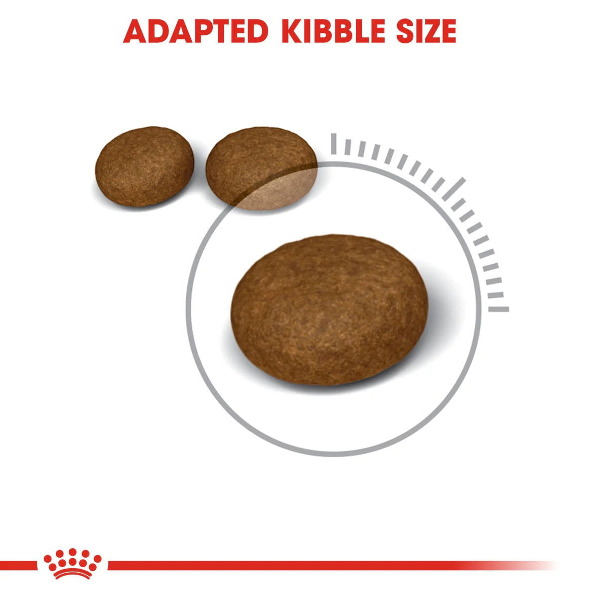 Royal Canin Hair & Skin 2Kg -  - PetsOffice