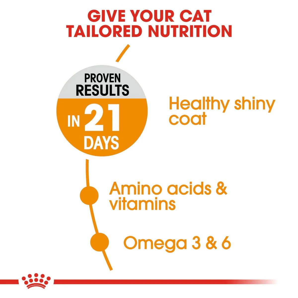 Paw & Joy Biggest Pet Supplies brand in Egypt | Royal Canin Hair & Skin 400g