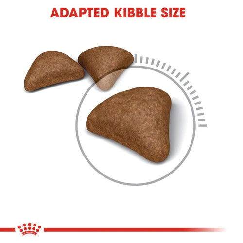 Paw & Joy Biggest Pet Supplies brand in Egypt | Royal Canin Hairball Care 400g