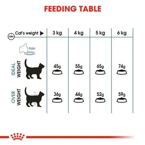 Paw & Joy Biggest Pet Supplies brand in Egypt | Royal Canin Hairball Care 400g