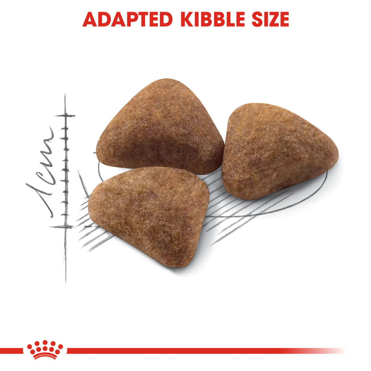 Royal Canin Indoor 2Kg -  - PetsOffice