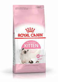 Royal Canin Kitten 36 10kg -  - PetsOffice