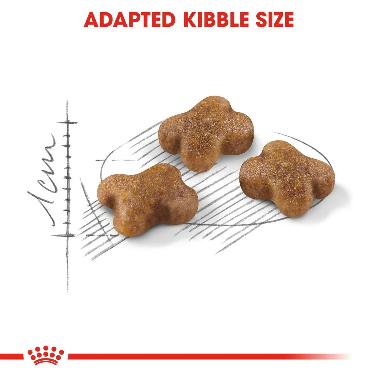 Royal Canin Kitten 36 10kg -  - PetsOffice