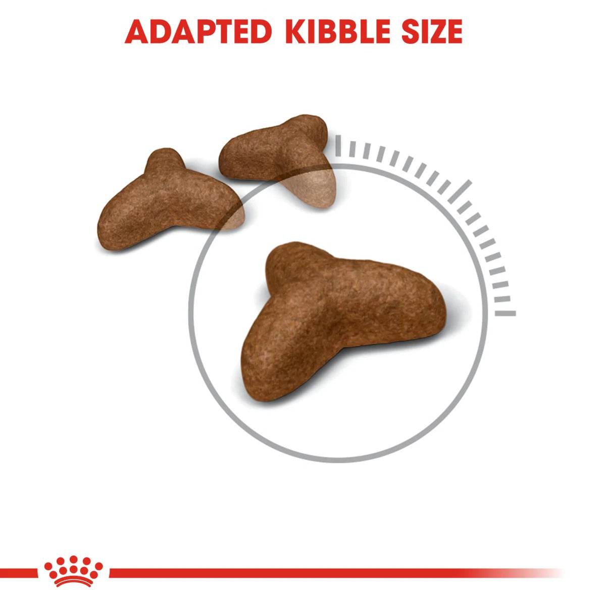 Paw & Joy Biggest Pet Supplies brand in Egypt | Royal Canin Light Cat 1.5kg