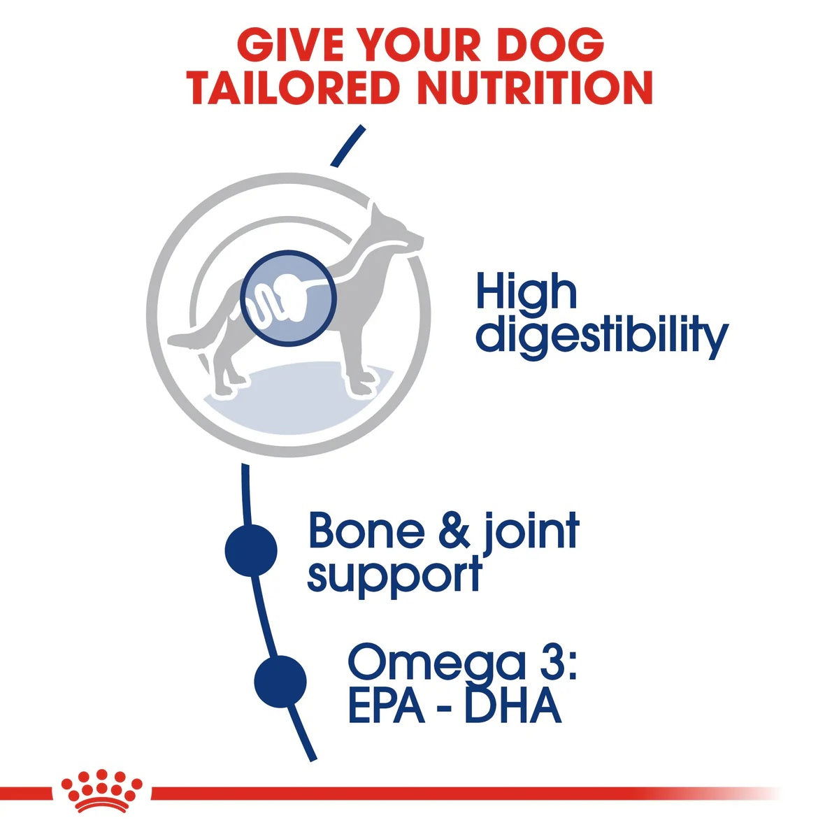 Royal Canin Maxi Adult 4kg -  - PetsOffice