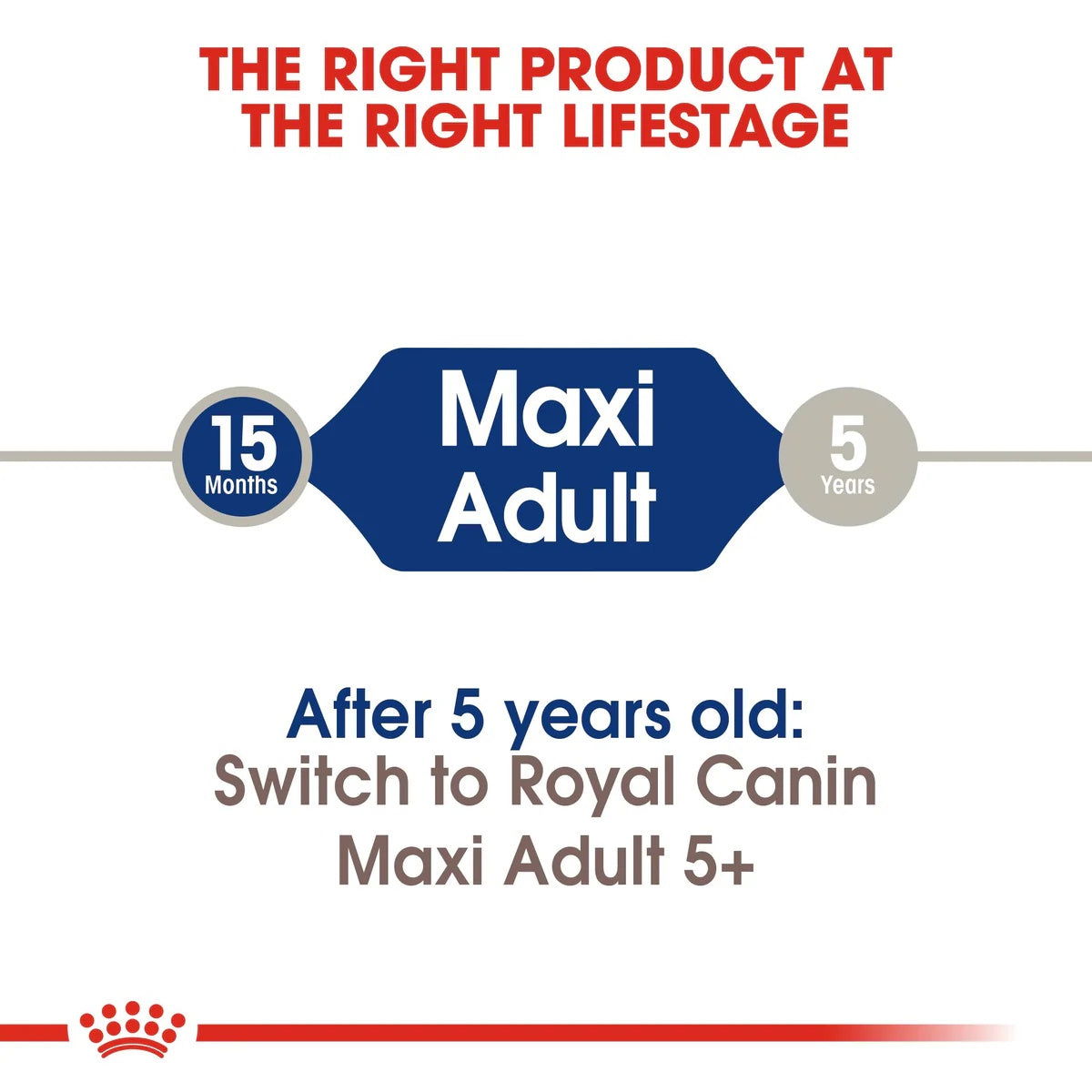 Royal Canin Maxi Adult 4kg -  - PetsOffice