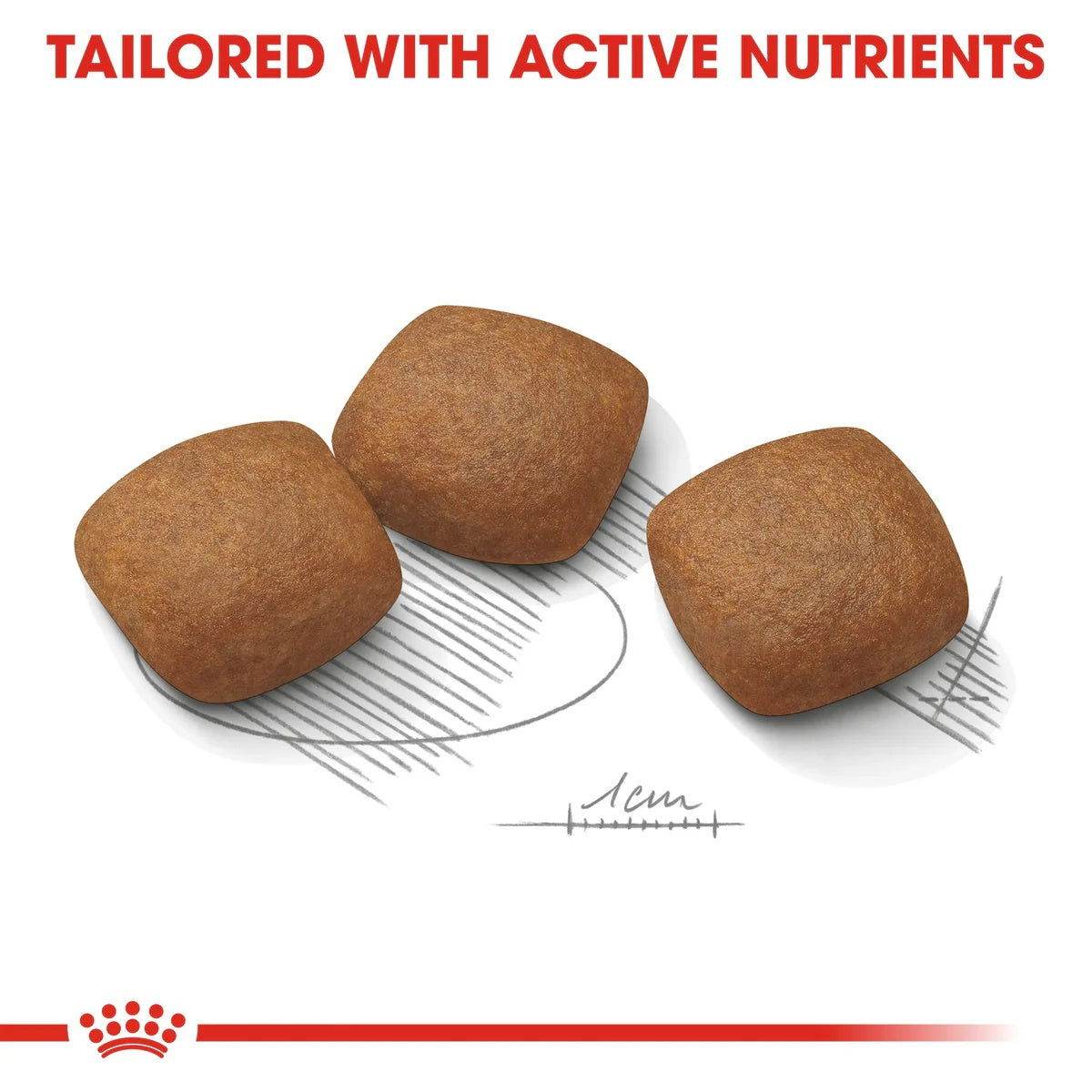 Paw & Joy Biggest Pet Supplies brand in Egypt | Royal Canin Maxi Adult Joint Care 10kg