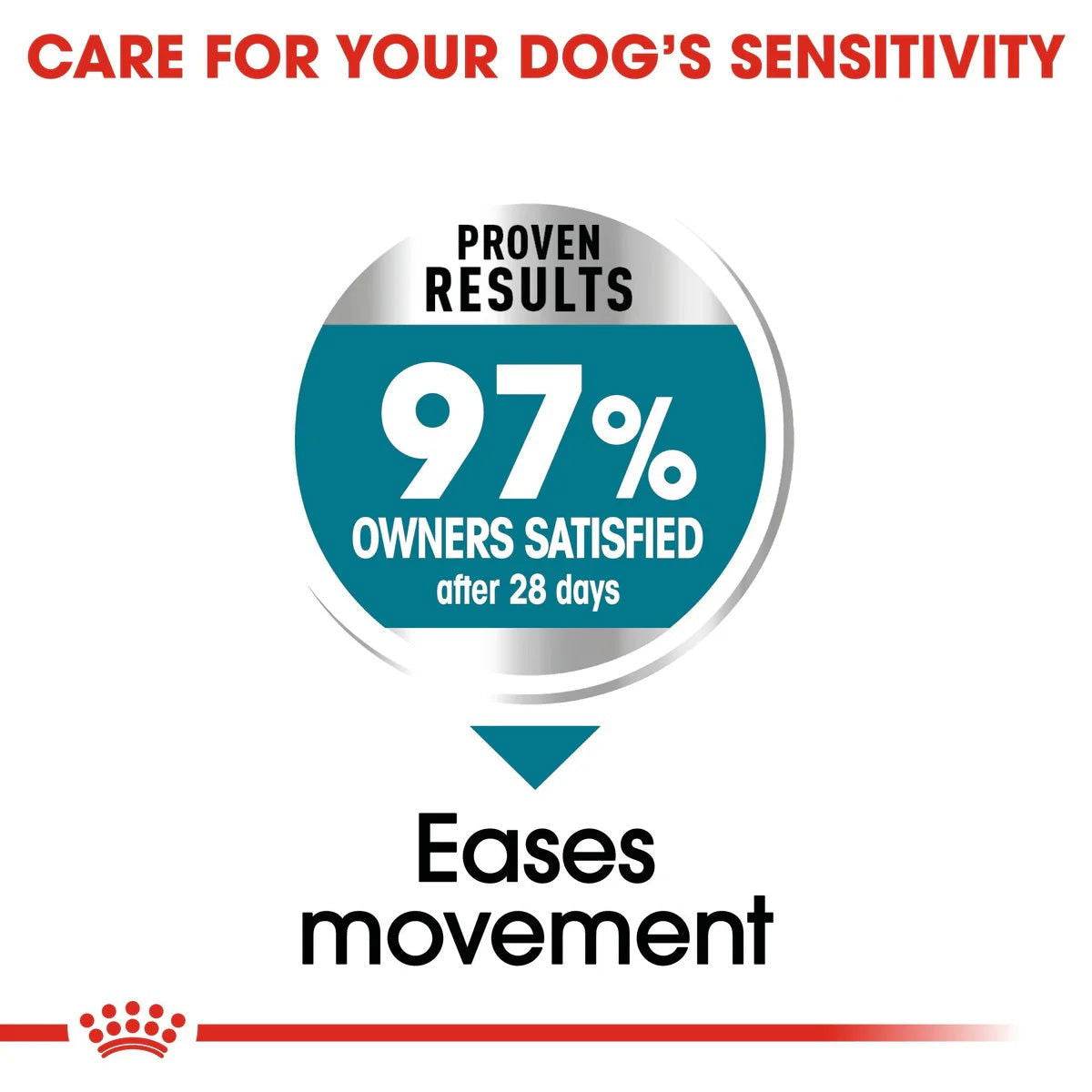 Paw & Joy Biggest Pet Supplies brand in Egypt | Royal Canin Maxi Adult Joint Care 10kg