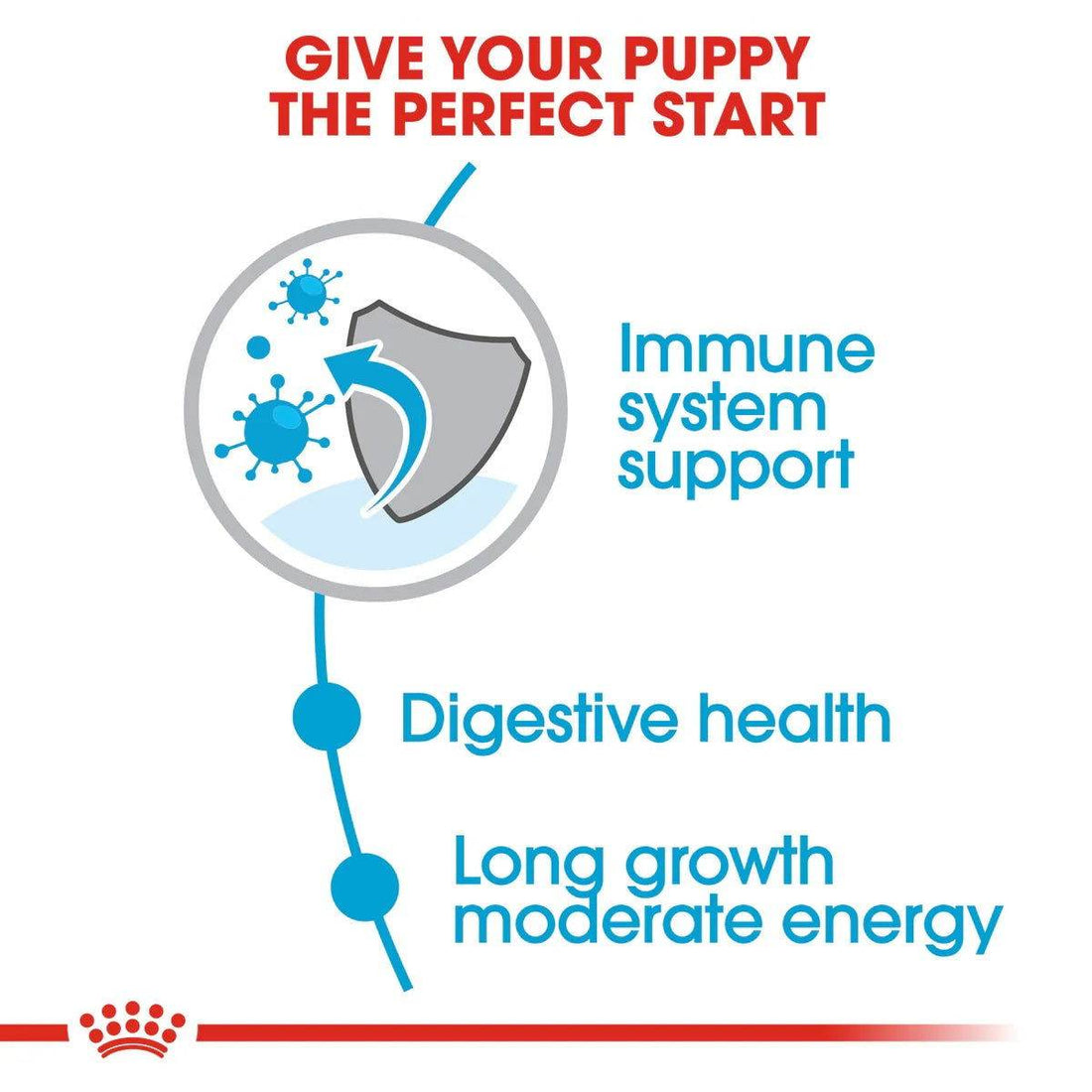 Paw & Joy Biggest Pet Supplies brand in Egypt | Royal Canin Maxi Puppy 4kg