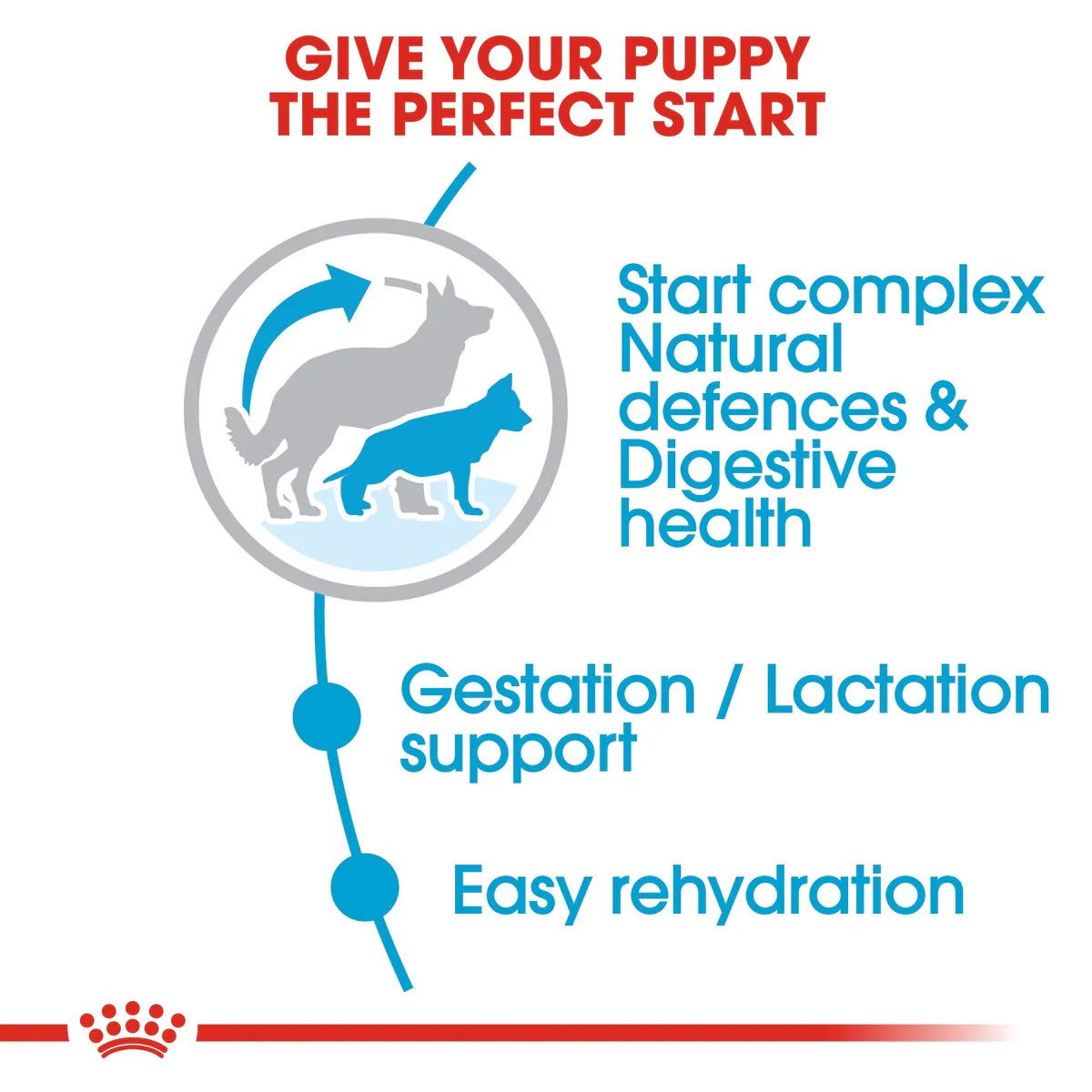 Royal Canin Maxi Starter 15kg -  - PetsOffice
