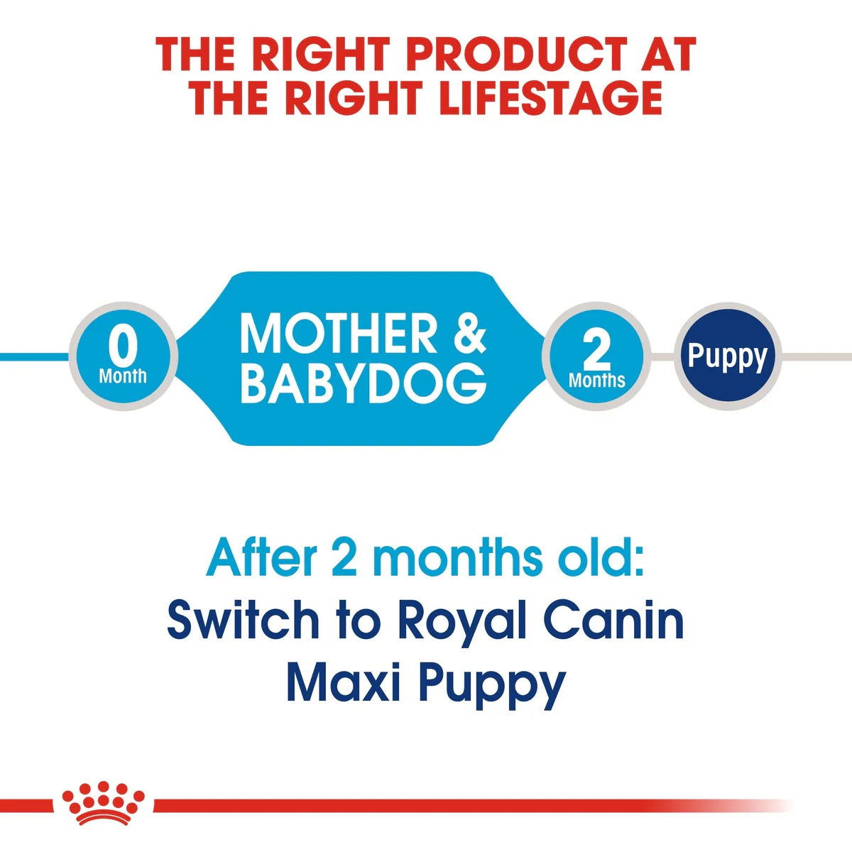 Royal Canin Maxi Starter 15kg -  - PetsOffice