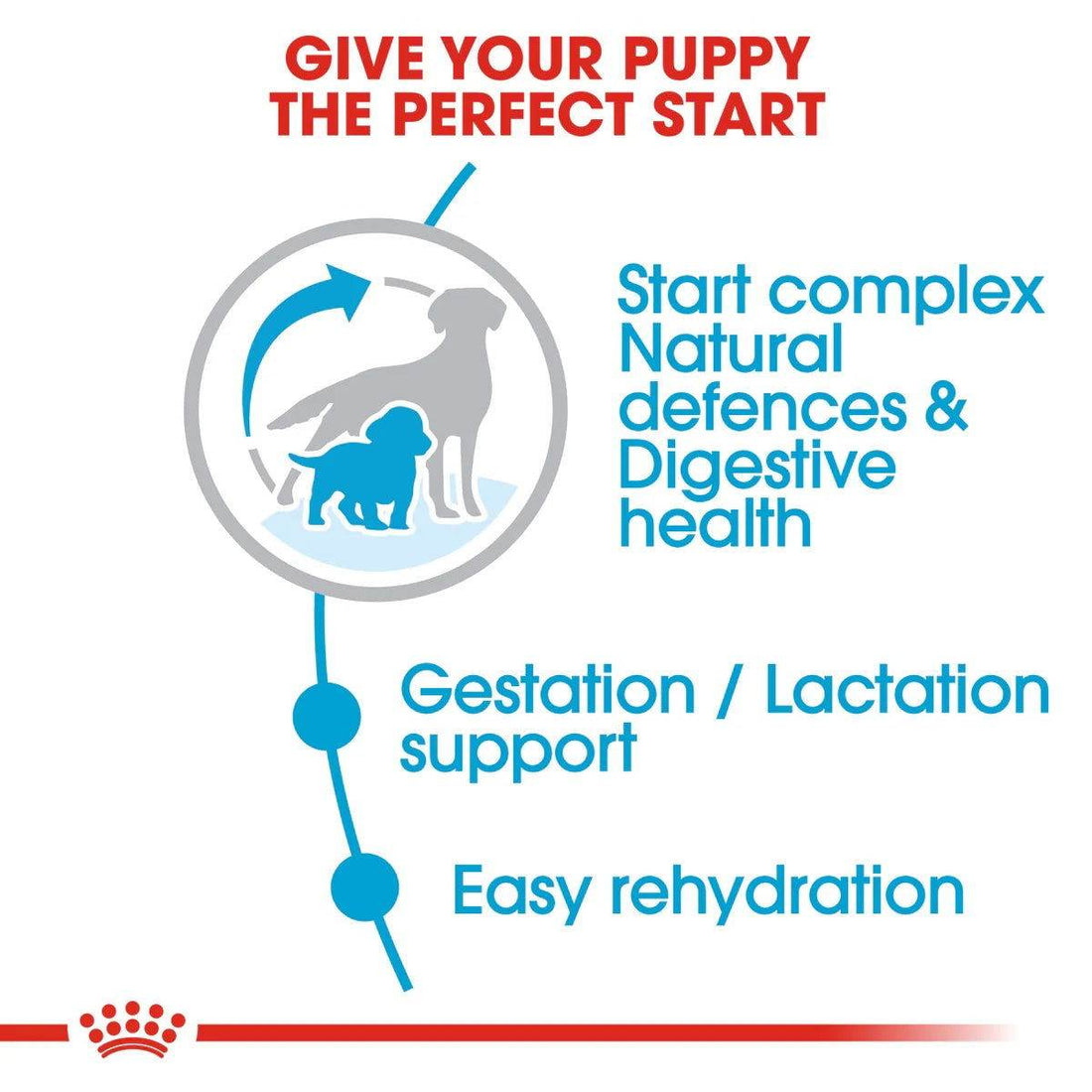Paw & Joy Biggest Pet Supplies brand in Egypt | Royal Canin Medium Starter 4kg