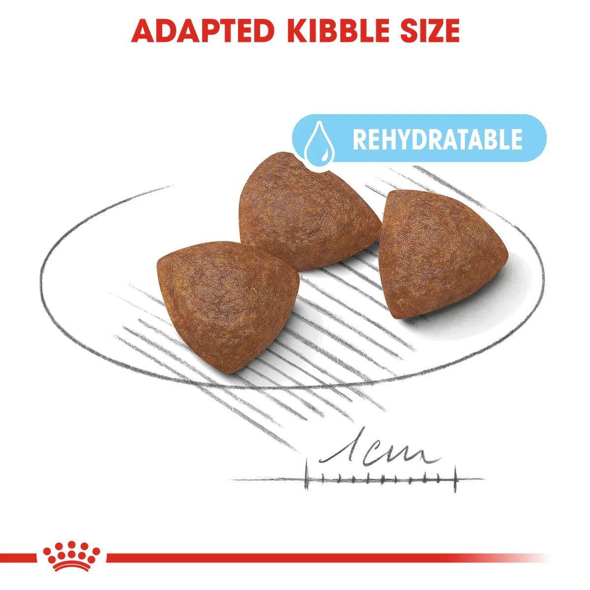 Paw & Joy Biggest Pet Supplies brand in Egypt | Royal Canin Medium Starter 4kg