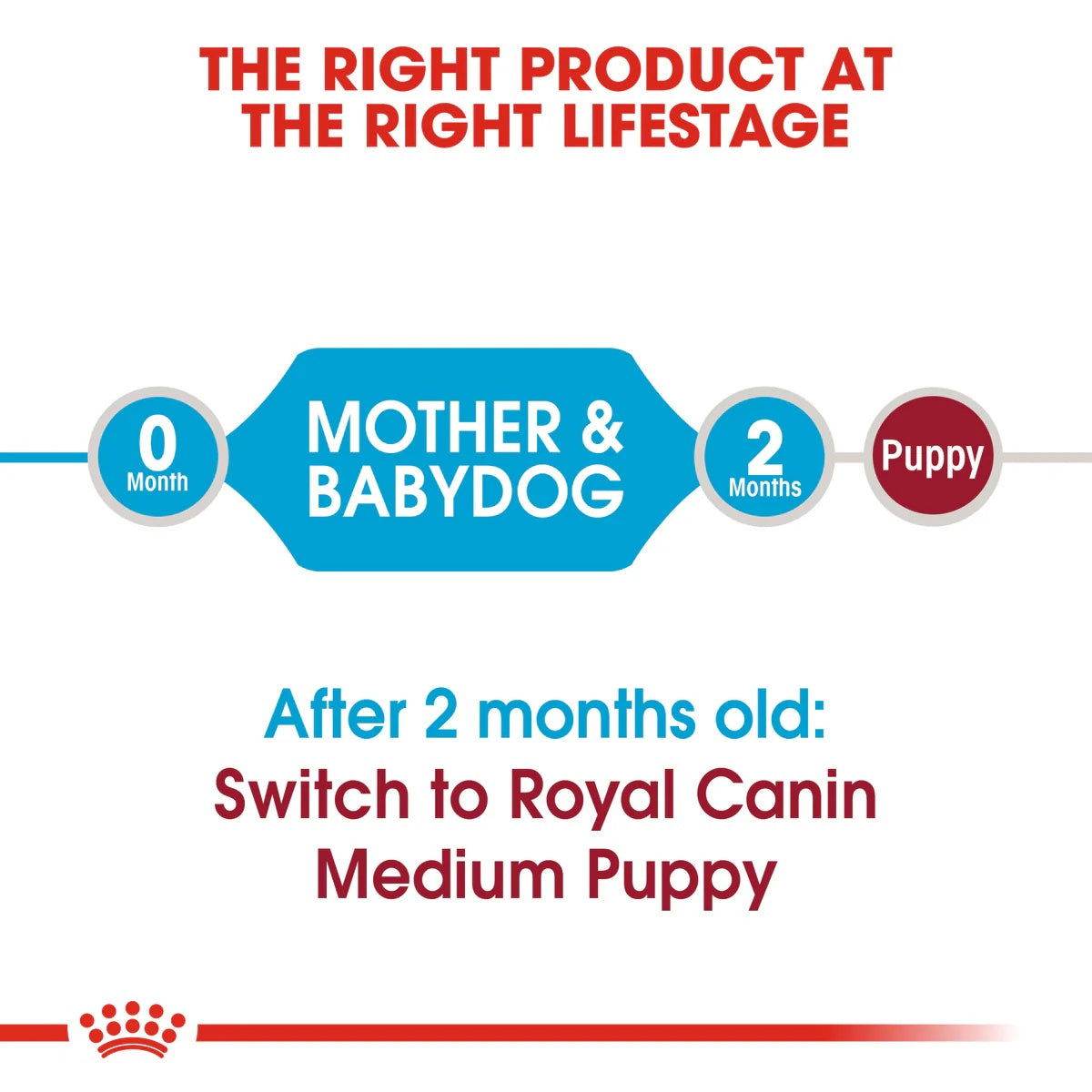 Paw & Joy Biggest Pet Supplies brand in Egypt | Royal Canin Medium Starter 4kg