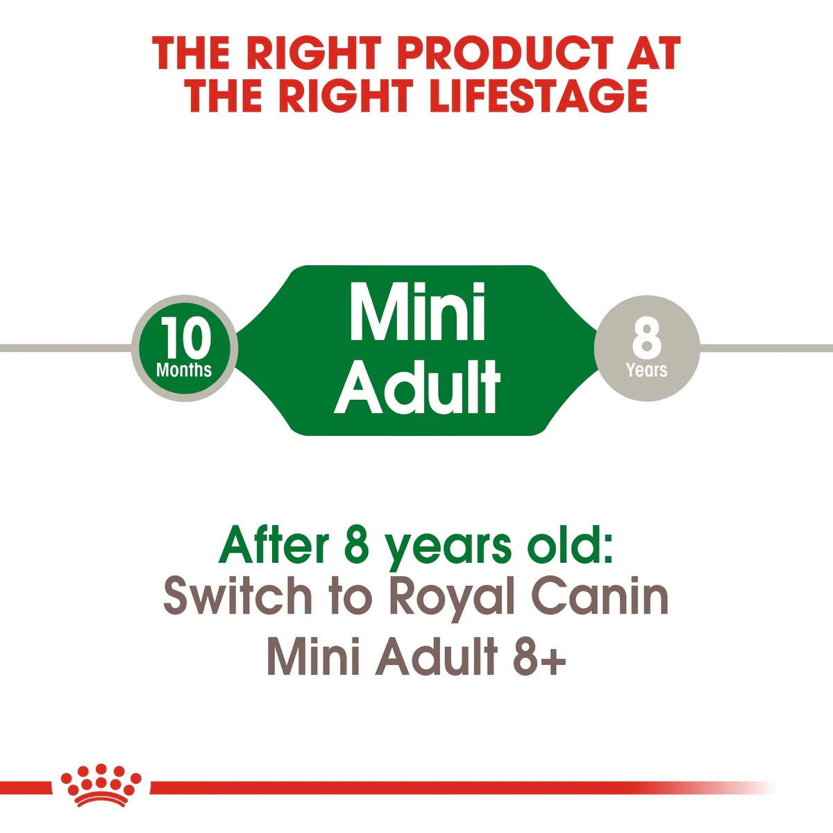 Royal Canin Mini Adult 2kg -  - PetsOffice