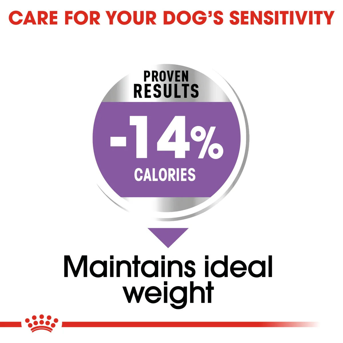 Royal Canin Mini Sterilised Dog Dry Food 3kg -  - PetsOffice