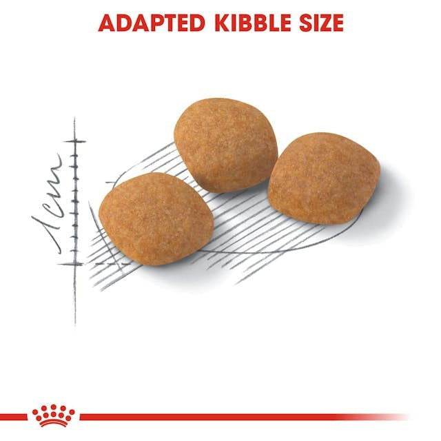 Paw & Joy Biggest Pet Supplies brand in Egypt | Royal Canin Protein Exigent 2kg