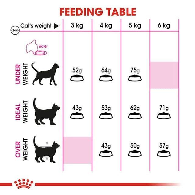 Paw & Joy Biggest Pet Supplies brand in Egypt | Royal Canin Protein Exigent 2kg