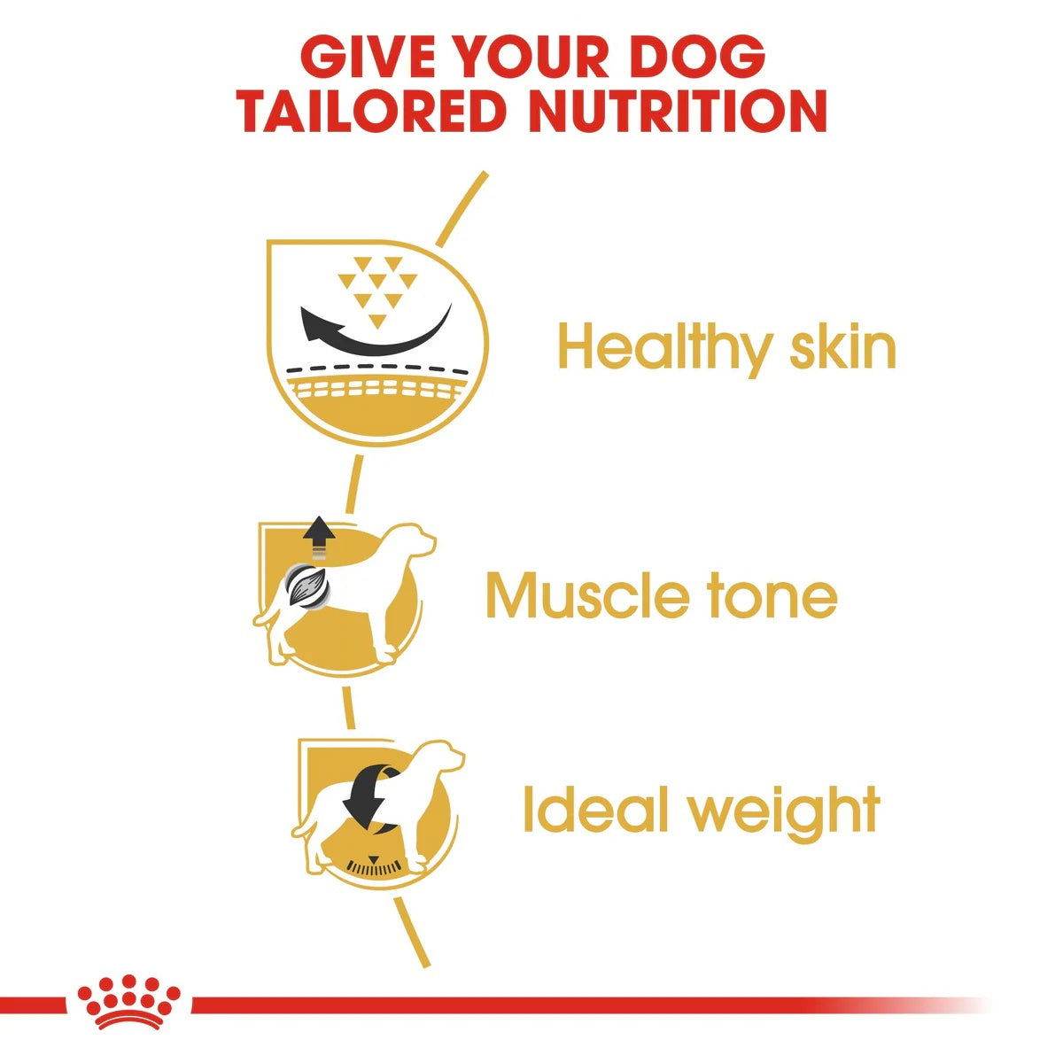 Paw & Joy Biggest Pet Supplies brand in Egypt | Royal Canin Pug Adult 1.5kg